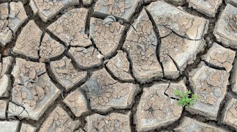 Aerial view of dry, parched earth.